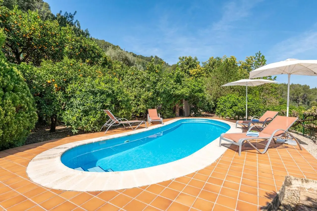 Can Jaumins Soller Holiday home